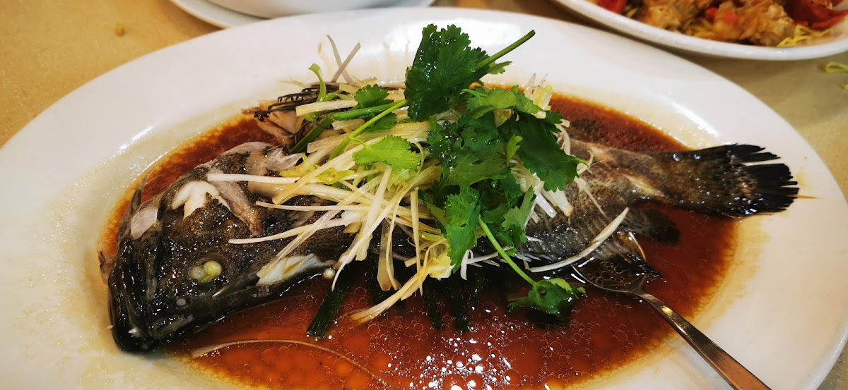 Kai Kai Restaurant-9